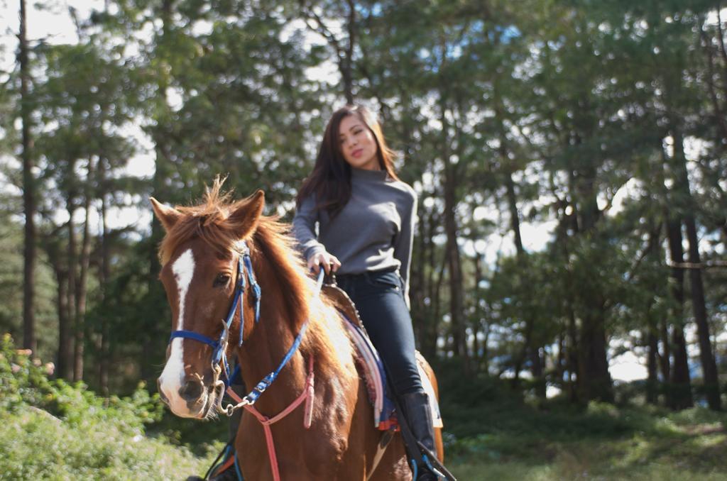 บาเกียวฮอลิเดย์วิลล่า Baguio City ภายนอก รูปภาพ